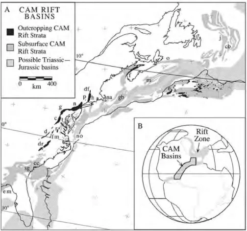Figure 2-8 Les bassins de rift de la marge de l’Atlantique Centrale (CAM) en position paléogéographique au Carnien  (225 Ma)