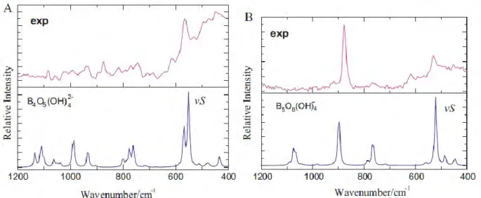 Figure II-9. Comparaison des spectres Raman expérimentaux et modélisés pour (A) le  tétraborate 