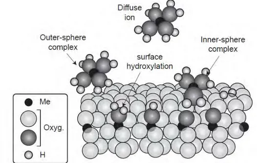 Figure II-10. Schéma des réactions à l’interface solide/liquide d’un oxyde (Schott et al., 2009) 