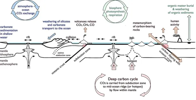 Fig. 1.2. Scheme of global carbon cycles in the context of plate tectonics (modified from 