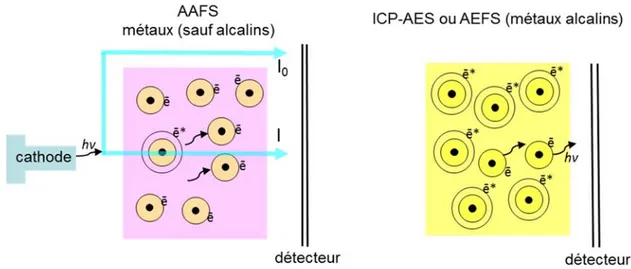 Fig. 2.7. Schéma de la distribution des atomes dans un état excité et non excité pendant l’analyse 