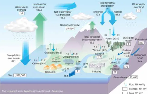 Figure 1.4: Cycle hydrologique global terrestre avec la taille de chacun des r´ eservoirs (en encadr´ e en 1000 km 3 ) et les ﬂux entre chacun de ces r´ eservoirs (en 1000 km 3 .an −1 ).