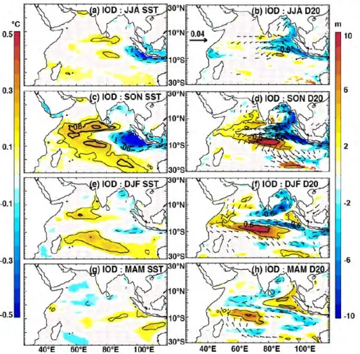 Figure 1.14. Partial regression coefficients of de-seasoned anomalies of SST (left panels), D20 (colour;  right  panels)  and  wind  stress  (arrows;  right  panels)  as  regressed  onto  the  IOD  index,  with  the 