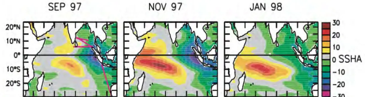 Figure  1.15.  Evolution  of  Topex/Poseidon  sea  surface  height  anomalies  (cm)  during  September  1997 