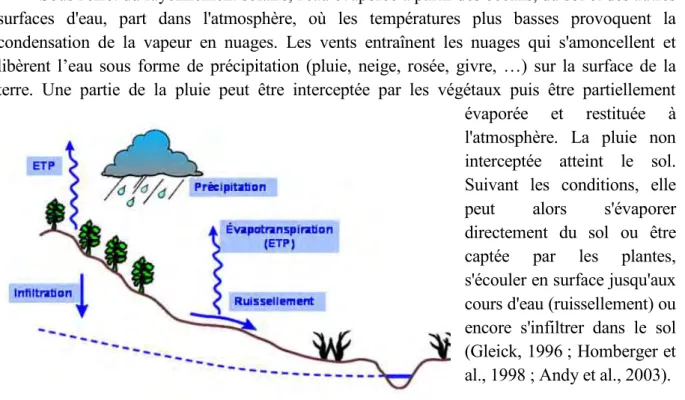 Figure II.2.1 : Schématisation des processus intervenant dans le cycle de l’eau 