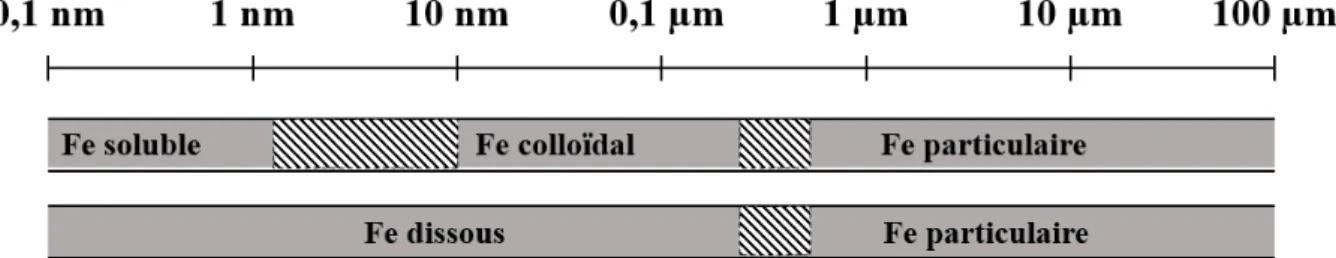 Figure 6. La spéciation physique du fer dans l’eau de mer. D’après Bruland et Rue (2001)