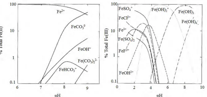Figure 8. Spéciation du Fe(II) (à gauche) et du Fe(III) (à droite) à une salinité de 35