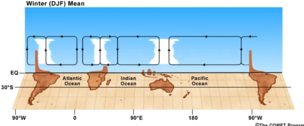Figure 1.3: Schematic representation of the Walker circulation patterns in the southern hemisphere in summer