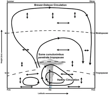 Figure 1.4: Schematic representation of the meridional Brewer-Dobson circulation in the stratosphere and mesosphere