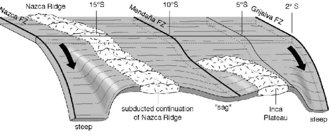Figure I.3. Coupe longitudinale entre 2 et 18°S du panneau plongeant sous le Pérou. D’après 
