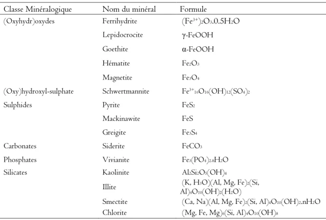 Table II.2. Minéraux du fer qui peuvent être impliqués dans le cycle biogéochimique du fer