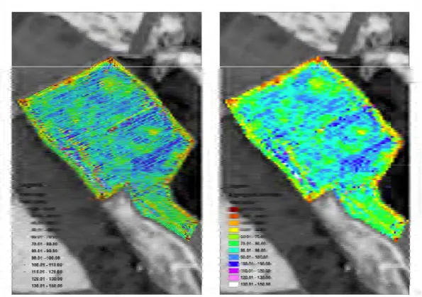 Figure 2.18‐ Example of yield map produced by the yield monitor (left). Measurement points  are  irregularly  distributed  and  separated  by  approximately  1.5m  or  2m.  On  the  right,  the  yield  values  are  averaged  in  order  to  have  aggregated  maps  with  10m  pixels  resolution  (equivalent to SPOT5 pixels resolution).  