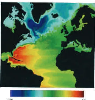 Figure I.16 : Trajectoire du Gulf Stream et de la dérive Nord Atlantique. Carte du niveau de la 