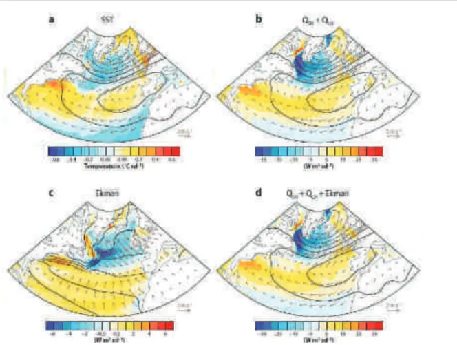 Figure II.4 : Influence de la NAO sur la SST. Structures spatiales des anomalies océaniques de surface 