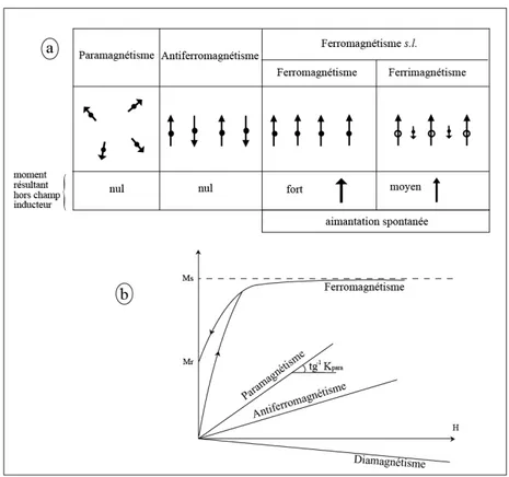 Figure 2.2. Comportements magnétiques de la matière. (a) Représentation des moments magnétiques  permanents portés par tout ou partie des atomes en l’absence de champ