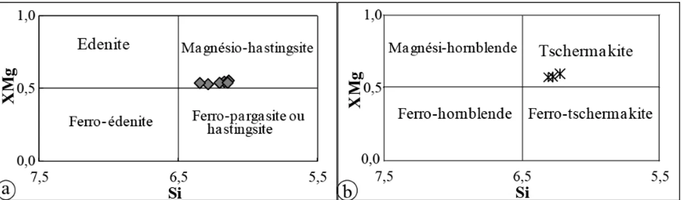 Figure 3.5. Diagramme de classification des biotites des orthogneiss et amphibolites. 