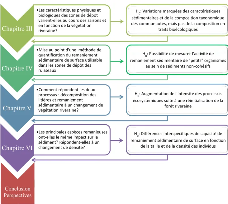 Figure  II.1  Diagramme  représentant  les  questions  et  les  objectifs  de  la  thèse  agencés  dans  les  différents  chapitres