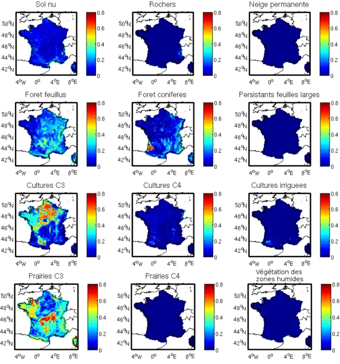 Figure 2.7 – Spatialisation (en %) des 12 types fonctionnels d’ISBA et de ses différentes versions sur la France.