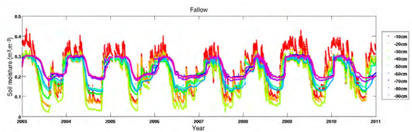 Figure 3.2 – Evolution temporelle de l’humidité du sol à différentes profondeurs sur la jachère.