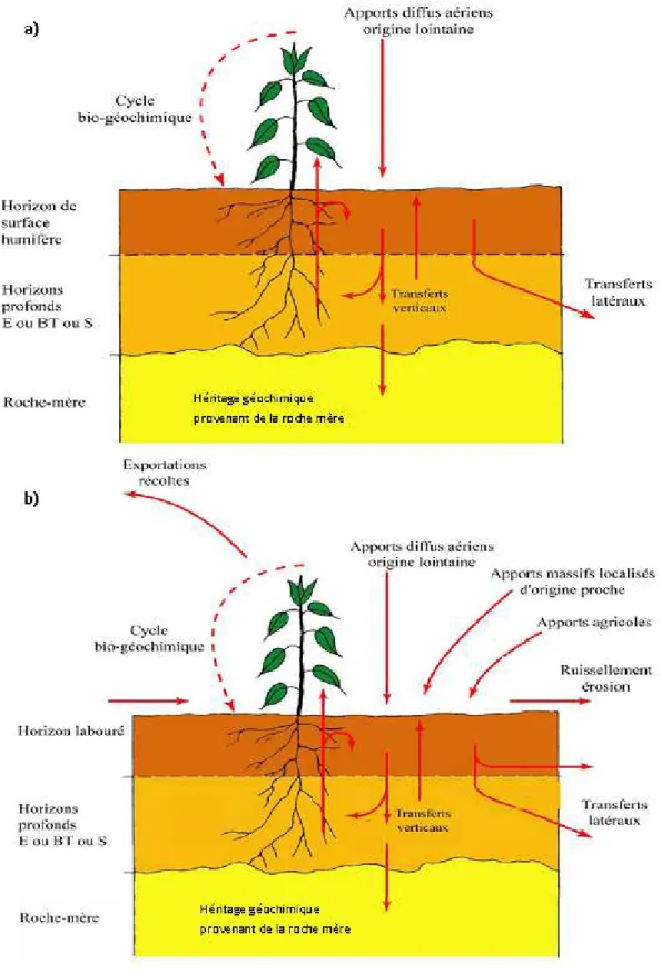 Figure 5 : Schémas de l’acquisition des teneurs totales en ETM dans les sols. (a) Milieux naturels  et (b) milieux anthropisés (d’après Mathieu et al., 2008)