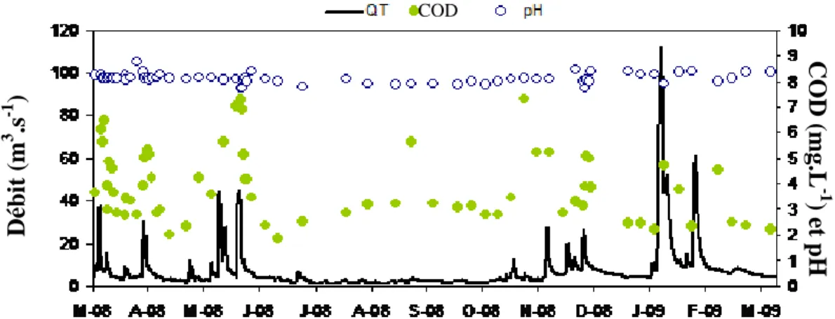 Figure 11 : Débit horaire et variation du COD et du pH sur la Save à la station Larra pendant la  période de 2008-2009 (d’après Taghavi, 2010)