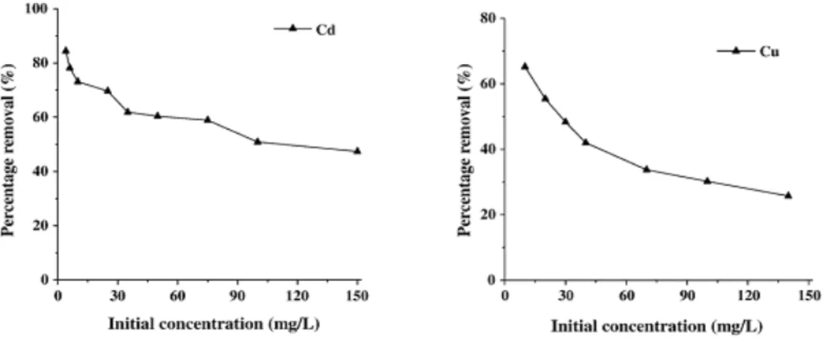 Figure  17 :  Pourcentage  de  Cd  et  Cu  adsorbés  sur  la  kaolinite  en  fonction  de  la  concentration  initiale introduite (T=30°C, MES=25 g.L-1, tps contact=1h)