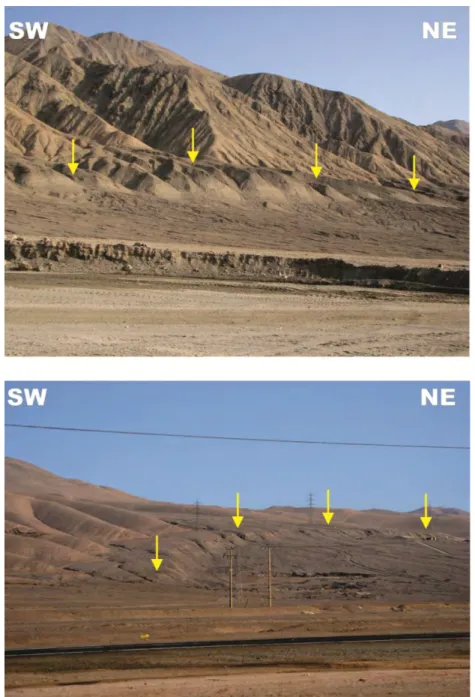 Figura 1.11.  Aspecto general de las fallas Mejillones (a) y Salar del Carmen (b).  Ambas  estructuras afectan depósitos aluviales cuaternarios, como lo indican las flechas amarillas