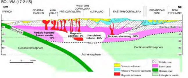 Figure 2.10 – Coupe synthétique des Andes à la latitude 17-21˚S. On note l’évaluation de 25 % de volume de croûte dont