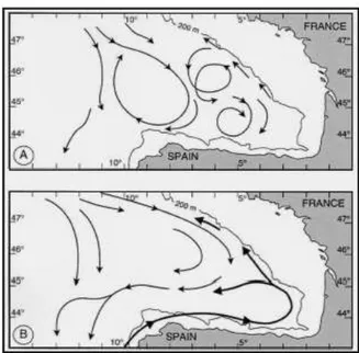 Fig. I.8 - Schéma des courants de surface et de pente, (A) en période estivale et pendant une période de  faible courant de pente, et (B) en période hivernale avec une forte intrusion du courant de pente 