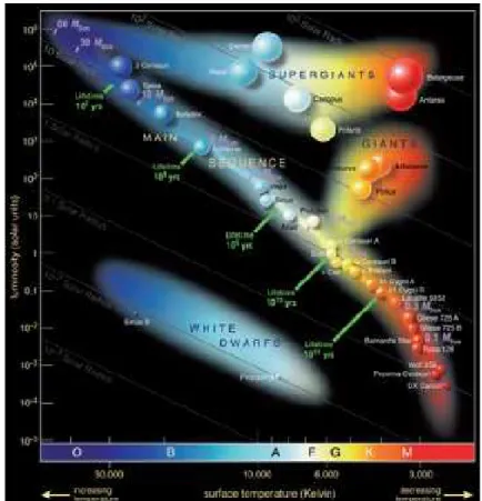 Figure i-2 : Diagramme Hertzsprung-Russel.  Le soleil évolue depuis  sa naissance (il ya  environ  5  Ga)  le  long  de  la  séquence  principale  qu’il  quittera  dans  5  Ga  pour  se  transformer  en  géante  rouge  (source :   http://www.daviddarling.i