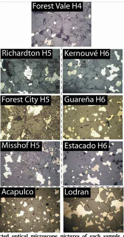 Figure  1.1:  Reflected  optical  microscope  pictures  of  each  sample  studied.  Width  of  images measures 3 mm