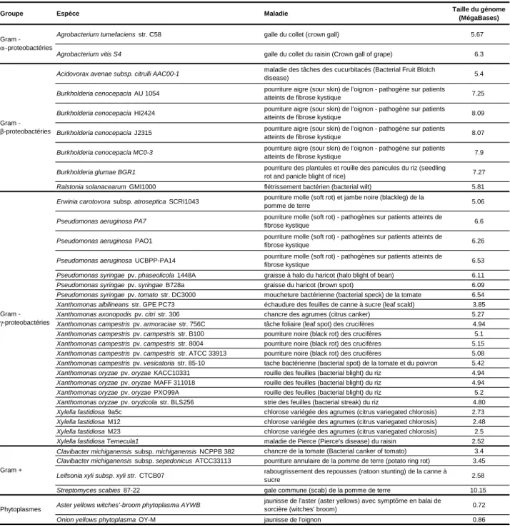 Tableau 1 : Liste des bactéries phytopathogènes dont le génome est entièrement séquencé et disponible, et maladies provoquées par ces organismes.
