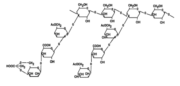 Figure 9. Le xanthane, un exopolysaccharide produit par Xanthomonas