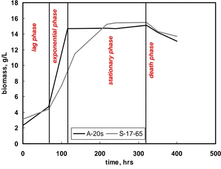 Fig. II. 2. Curves of APBs A-20s and S-17-65 growth in the nutrient solution. 