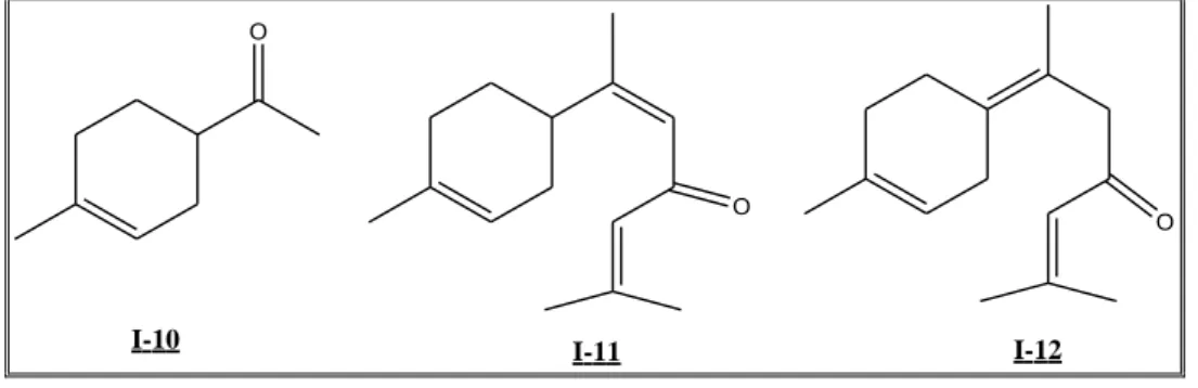 Figure 12 En  1961,  Bredenberg  et  Erdtmann 37