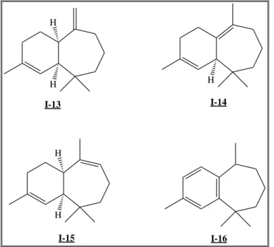 Figure 13 : Les hydrocarbures isolés du cèdre de l‟Atlas 