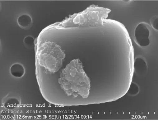 Fig. 2.3: Particule de sel marin observ´ ee par J. Anderson et X. Hua au microscope ´ electronique