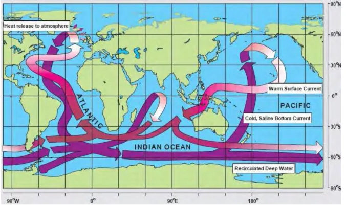 Figure 1.1 – Schéma simplifié de la circulation thermohaline selon le modèle de conveyor belt établit par Broecker (1991)