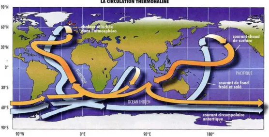 Figure I.5 : La circulation thermohaline : circulation à grande échelle de l'eau des océans engendrée  par des écarts de température et de salinité (d’après Broecker, 1991)