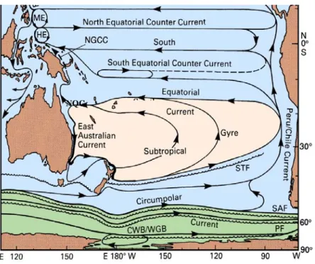 figure   I-4:  La  circulation  grande  échelle  du  Pacifique  Sud  d’après  Tomczac  and  Godfrey  (1994)  qui  décrit  grande  gyre  subtropical