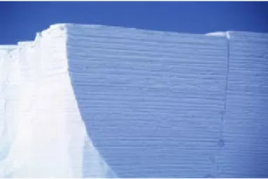 Fig. 1.4 – Coupe stratigraphique de la neige montrant son aspect en couches. Chaque couche correspond à un dépôt de neige.