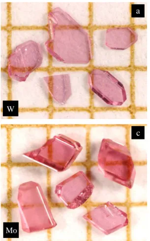 Fig.  III.1. Cristaux  de  NdPO 4   synthétisés  avec  (a)  le  flux  au  tungstène,  (b)  le  flux  au 