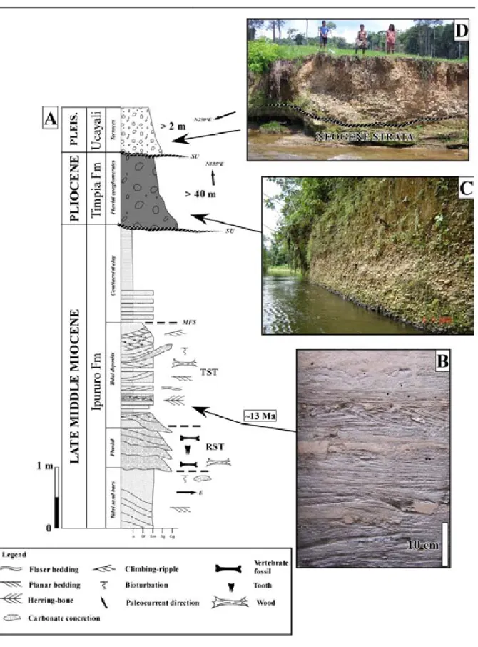 Figure  2.  9 :  A:  Mapuya  section  of  the  Late  Middle  Neogene  deposits  with  unconformable  Pliocene 
