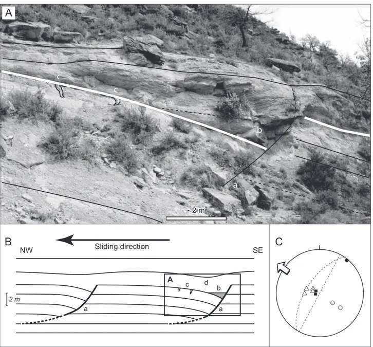 Fig. 9. Soft-sediment normal faults and associated structures affecting the S1 surface (white line) and in-situ  layers surface observed on the right bank of the Rio Ena, below point 756 of figures 4 and 11