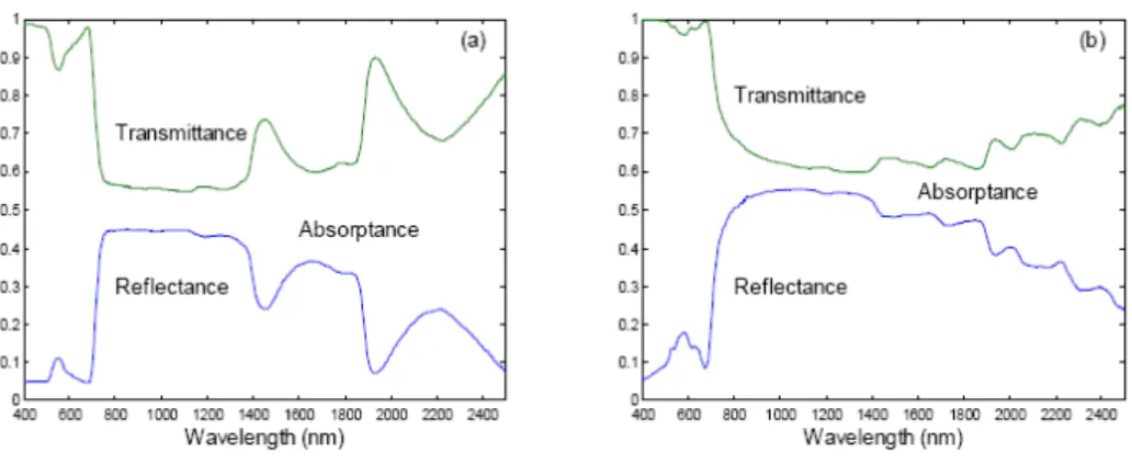 Figure 2.6. Reflectance and transmittance of a fresh and a dry leaf. From Jacquemoud et al., 2001