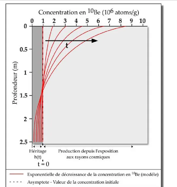Figure 30 : Evolution théorique de la concentration en  10 Be, en fonction de la profondeur, avec la durée  d’exposition  (d’après  Carretier,  2000,  modifié).  Cette  évolution  temporelle  est  matérialisée  par  les  différentes  courbes  de  décroissance  exponentielle  (en  rouge)  pour  un  profil  en  profondeur  avec  une  concentration initiale. Plus la durée d’exposition est longue, plus la concentration en  10 Be augmente.  De même, l’héritage décroît avec le temps h(t)=h 0 e ‐λt . 