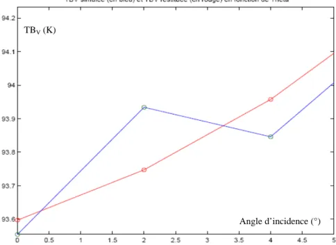 Figure 22 : Exemple d’irrégularité à petite échelle des TBs simulées avec le programme SSA 01  d’origine (ici 