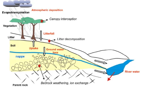 Fig. 1.1. Scheme describing the main matter exchange between different reservoirs (soil-rock system, 