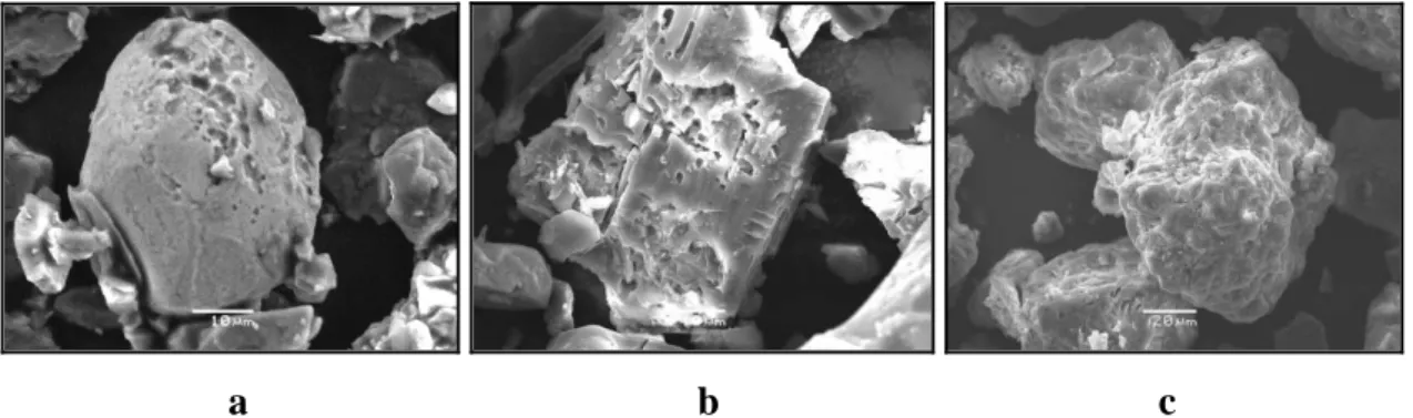 Fig. 2.3. SEM images of minerals found in soils illustrating neo-formed material and erosion on the 