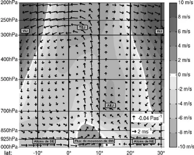 Figure 1.6. Profils verticaux du vent zonal (Est-ouest) (ms -1 ) représenté en niveaux de gris, du vent  méridien (Nord-Sud) (ms -1 ) et de la vitesse verticale (Pas -1 ) représentés par des flèches,  analysés par ECMWF, moyennées temporellement de 2004 à 
